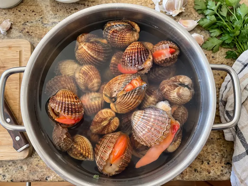 Bucardes vivantes dans une marmite d'eau, plusieurs sortant leur pied rouge, ail et persil posés à côté
