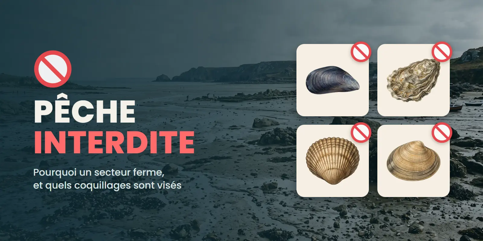 Illustration du guide Pêche À Pied Interdite, Mais Pourquoi ?