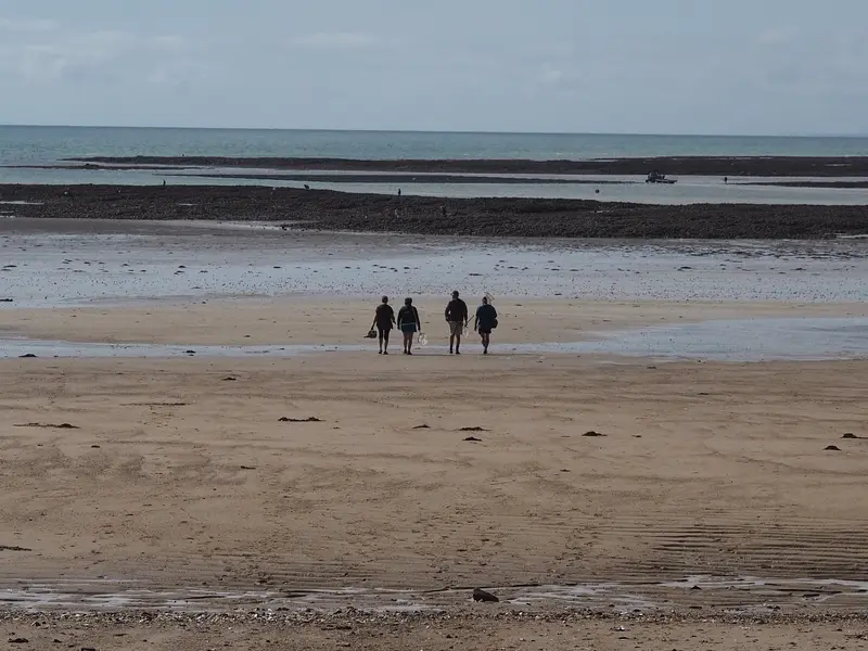 Quatre pêcheurs à pied, seau à la main, marchent vers les rochers que la marée découvre