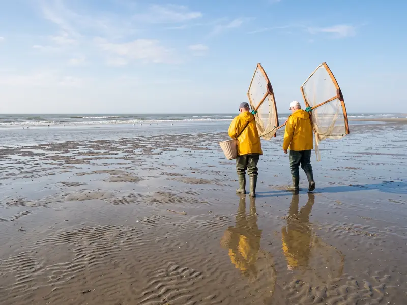 Deux pêcheurs à pied marchant vers la mer avec leurs haveneaux